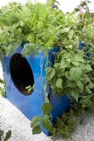 Crawl through blue plastic container - 'The Playful Garden', Bronze medal winner, RHS Hampton Court Flower Show 2010 