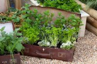 Unusual planting of herbs growing in old suitcases - RHS Hampton Court Flower Show 2010
