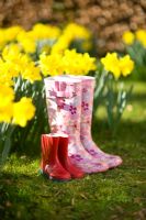 Patterned women's wellies and red children's wellies alongside daffodils in Spring