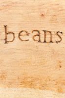 Wooden garden bench carved with the word 'Beans' at RHS Harlow Carr