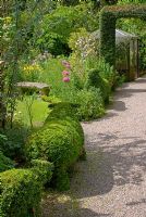 Gravel path, edged with topiary Buxus - Box sheep, leading to Taxus - Yew arch. Greenhouse and herbaceous border with mature trees and shrubs beyond. Crossing House Garden, Cambridgeshire