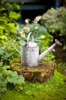 Vintage galvanised watering can on an old tree stump