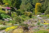 Rock garden at St Andrews Botanic Garden