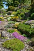 Rock garden at St Andrews Botanic Garden, Scotland