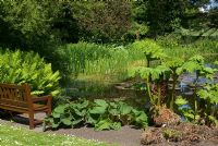 Water garden at St Andrews Botanic Garden, Scotland