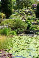 Water and Rock gardens at St Andrews Botanic Garden, Scotland