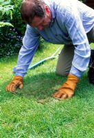 Cut a patch of turf to match the size and shape of the hole in the lawn and lay the turf. Firm it into place and your lawn is as good as new