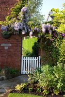 Clematis, Iris, Papaver, Rosa and Camellia in border with Wisteria over brick archway, stone path and gate leading to cottage back garden