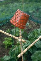 Plastic pot on bamboo cane with netting for pest control and plant protection