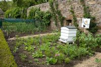 Kitchen garden with vegetables, trained fruits and beehive with adjacent wildflower patch in the walled garden - Kellie Garden, Fife, owned by The National Trust for Scotland