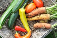 Small basket of home grown vegetables - courgettes, tomatoes, carrots and chillies