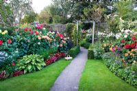 Suburban garden with double borders of Dahlias and bedding plants, lawned path and trellis arch - 39 Osborne Street 