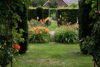 Hemerocallis 'Bold Tiger', Kniphofia 'Tawny King', Rosa 'Sahara' in Dutch garden and tearoom - De Tuinen in Demen