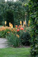 Hemerocallis 'Bold Tiger', Kniphofia 'Tawny King', Rosa 'Sahara' in Dutch garden and tearoom - De Tuinen in Demen