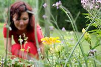 Woman in border of Hemerocallis 'Mrs. Vandenbosch' in Dutch garden and tearoom - De Tuinen in Demen
