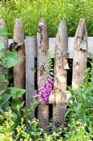 Reclaimed timber fence