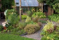 Gravel and stone slab path leading to wooden framed greenhouse. Mixed borders with grasses, Heuchera, Hosta, Euonymus fortunei 'Emerald 'n' Gold', Phormium, Hemerocallis and Canna 'Stuttgart'. Saxon Road, Lancashire The garden is open for The National Garden Scheme