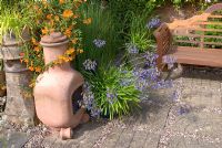Agapanthus and Mimulus aurantiacus growing in various pots. Typha minima in rill adjacent to gravel and paving patio with bench and chimenea.  Saxon Road, Lancashire. The garden is open for The National Garden Scheme