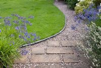 Agapanthus and Lavandula, adjacent to gravel and paving slab path. Lawn edged with slate blue stone molds. Saxon Road, Lancashire. The garden is open for The National Garden Scheme