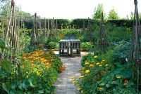 Kitchen garden with brick path leading to reclaimed bath with Allium seedheads and Agapanthus. Calendula officianalis and Tropaeolum on either side of brick path with willow wigwam supports and wooden table and chairs - Heveningham, Suffolk
