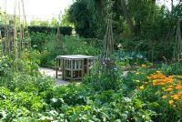 Kitchen garden with brick path. Calendula officianalis and Tropaeolum on either side of brick path with willow wigwam supports and wooden table and chairs - Heveningham, Suffolk