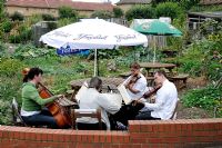 The Potting Shed Ensemble, a group of musicians, playing on the Oliver Road Allotments, Leyton, London, UK 