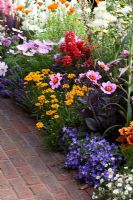 Colourful border with plants including Dahlia, Gaillardia, Campanula,  - 'Birchfield', Silver medal winner, RHS Hampton Court Flower Show 2010 