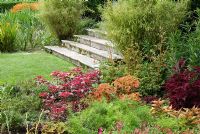 Steps with Phyllostachys - Bamboo and borders with Crocosmia, Coleus and Iresine at Kingston Maurward Gardens, Dorchester, Dorset