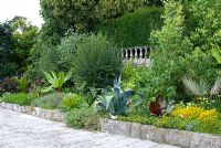 Raised border in the Balustrade garden with hardy exotics including Agave americana, Musa, Ensete ventricosum 'Rubrum' and Chamaerops humilis at Kingston Maurward Gardens, Dorset  