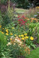 Borders of herbaceous perennials in August at Lilac Cottage NGS, Gentleshaw, Staffordshire, UK 
 