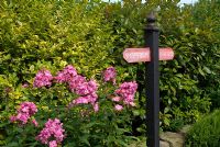 Fun feature of painted sign post and border with Phlox, Euonymus and Photinia 'Red Robin' - 'Trevinia', Stubbins, Lancashire, NGS