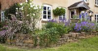 Stone retaining wall with blue and white themed plantings - Ilmington, Warwickshire