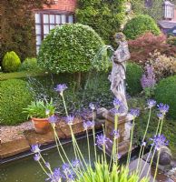 Water garden with containers of Agapanthus, classical statue and fountain - Wilkins Pleck, Newcastle-under-Lyme, Staffordshire, NGS