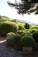 Clipped shrubs in terraced garden - La Louve Garden, Provence, France