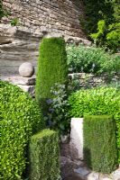 Stone stairs flanked by topiary - La Louve garden, Provence, France
