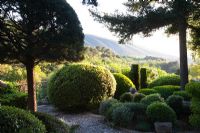 Topiary and clipped trees and shrubs in La Louve garden, Provence, France