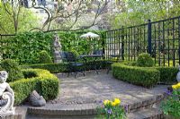 Urban formal garden in Spring with metal furniture on patio, clipped Buxus - Box hedges and topiary and Hydrangea petiolare