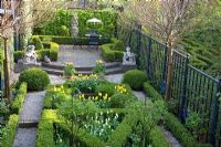 Elevated view of urban formal garden in Spring with clipped Buxus - Box parterre planted with Tulipa 'Yellow Purissima', Tulipa 'Jan Siemerink', Tulipa 'Ivory Floradale' 