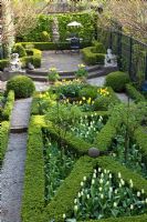 Elevated view of urban formal garden in Spring with terrace and clipped Buxus - Box parterre planted with Tulipa 'Yellow Purissima', Tulipa 'Jan Siemerink', Tulipa 'Ivory Floradale' 