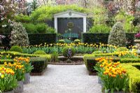 Formal garden with beds of Tulipa 'Washington', Tulipa 'Juliette' and Tulipa 'Washington'