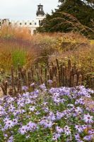 New area of planting of perennials and grasses designed by Piet Oudolf - Trentham Gardens, Staffordshire, October