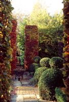 Path through formal garden edged by topiary in Autumn