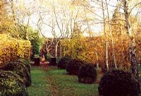Formal garden in Autumn with topiary balls backed by Fagus - Beech hedge and deciduous trees