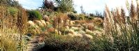 Autumn grasses and seedheads in Prairie Garden, at Lady Farm, Chelwood, Somerset