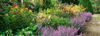 Border of summer perennials and grasses at Ince Castle, Cornwall