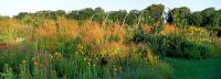 Mixed summer border of perennials and grasses at Afton Park, Isle of Wight