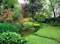 The Water garden - Coton Manor