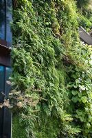Vertical planting on building - Musee du quai Branly