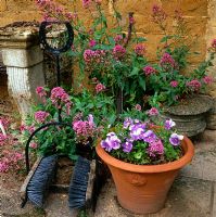 Boot cleaner, Viola in pot and Valerian 
