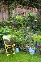A collection of pots in a small urban garden, containing a mixture of flowers, herbs, vegetables and fruit